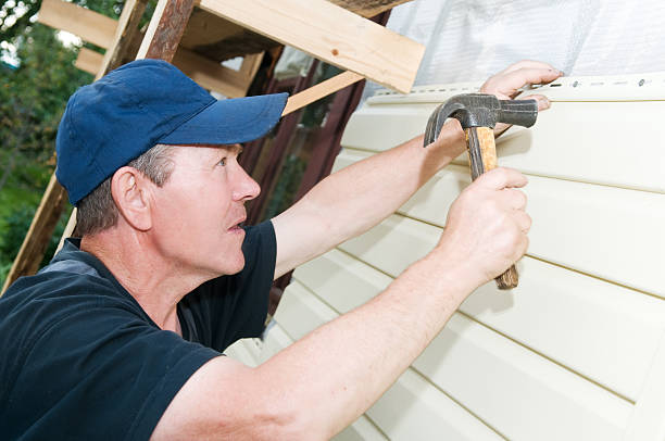 Best Engineered Wood Siding  in Catalina, AZ