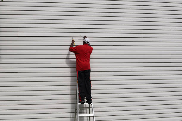 Best Siding Removal and Disposal  in Catalina, AZ