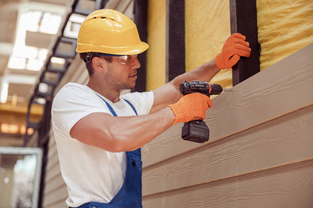 Best Stucco Siding  in Catalina, AZ